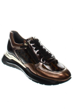 Дамски обувки Hogl, Размер 36, Цвят Многоцветен, Цена 106,00 лв.