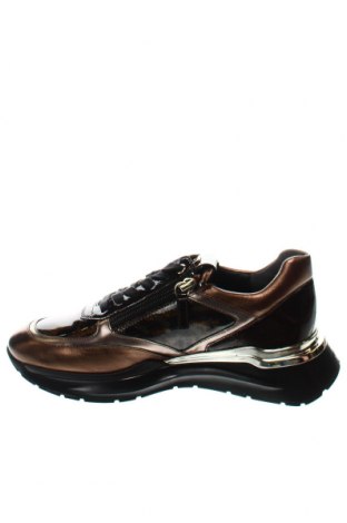 Γυναικεία παπούτσια Hogl, Μέγεθος 36, Χρώμα Πολύχρωμο, Τιμή 54,64 €
