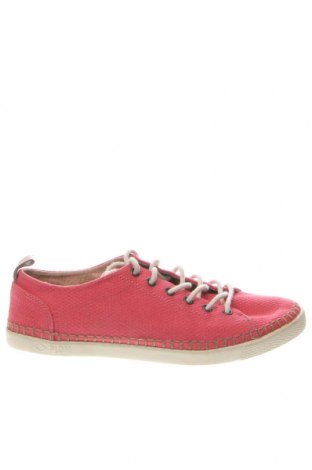 Γυναικεία παπούτσια PLDM, Μέγεθος 38, Χρώμα Ρόζ , Τιμή 19,44 €