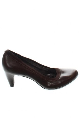 Γυναικεία παπούτσια Tsubo, Μέγεθος 37, Χρώμα Καφέ, Τιμή 15,60 €