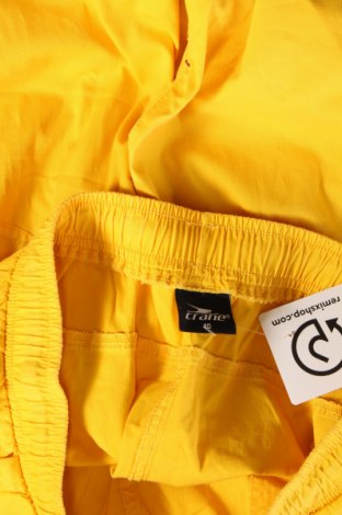Дамски панталон Crane, Размер M, Цвят Жълт, Цена 30,49 лв.
