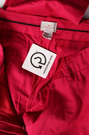 Дамски панталон Cyrillus, Размер M, Цвят Розов, Цена 47,90 лв.