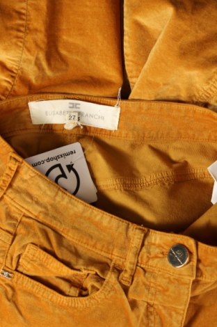 Дамски панталон Elisabetta Franchi, Размер S, Цвят Жълт, Цена 45,92 лв.