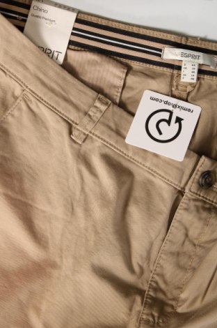 Dámské kalhoty  Esprit, Velikost XL, Barva Béžová, Cena  607,00 Kč