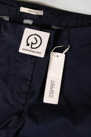 Damenhose Esprit, Größe XL, Farbe Blau, Preis 21,57 €