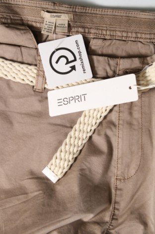 Damenhose Esprit, Größe M, Farbe Braun, Preis 16,78 €