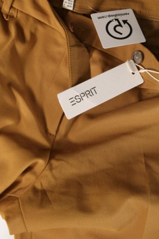 Dámske nohavice Esprit, Veľkosť XL, Farba Žltá, Cena  9,59 €