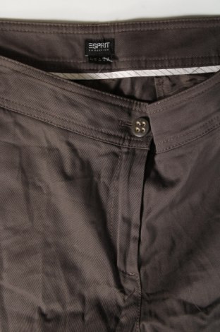 Damenhose Esprit, Größe XXL, Farbe Braun, Preis € 11,99