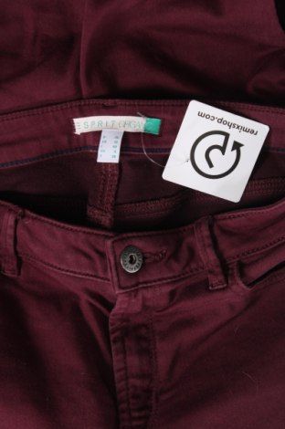 Damenhose Esprit, Größe S, Farbe Rot, Preis € 13,65