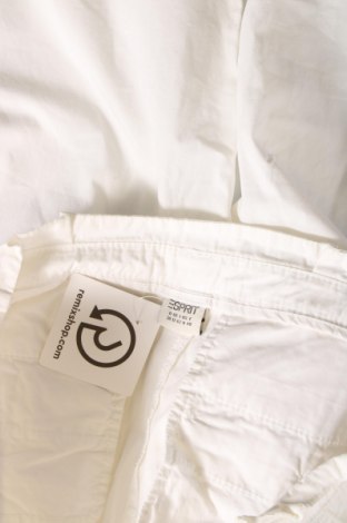 Дамски панталон Esprit, Размер M, Цвят Бял, Цена 26,75 лв.