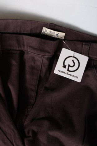 Damenhose M&Co., Größe XL, Farbe Braun, Preis 20,18 €