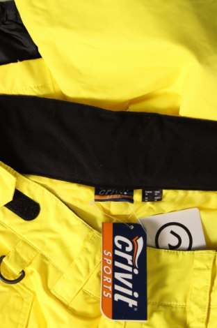 Damenhose für Wintersport Crivit, Größe XL, Farbe Gelb, Preis 40,51 €
