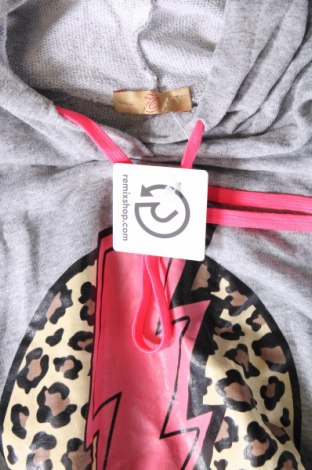 Γυναικείο φούτερ, Μέγεθος XL, Χρώμα Γκρί, Τιμή 7,18 €