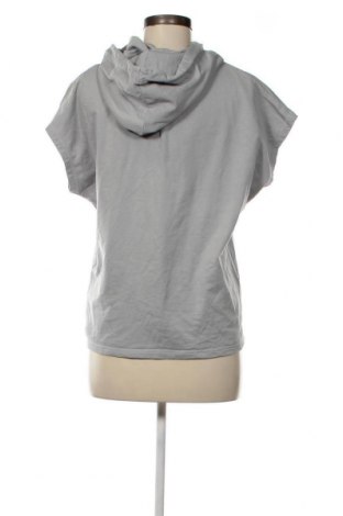 Damen Sweatshirt Diverse, Größe L, Farbe Grau, Preis € 7,60