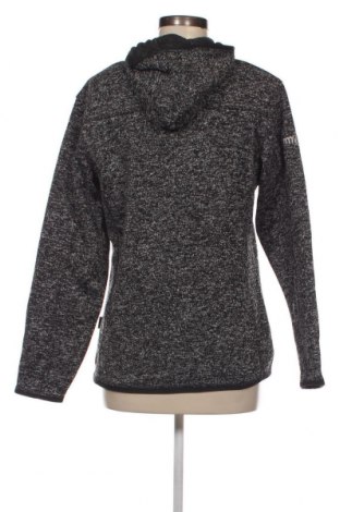 Damen Sweatshirt Harvest, Größe L, Farbe Grau, Preis 5,71 €