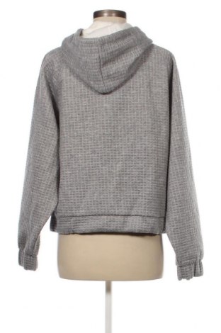 Damen Sweatshirt Q/S by S.Oliver, Größe XXL, Farbe Grau, Preis € 11,41