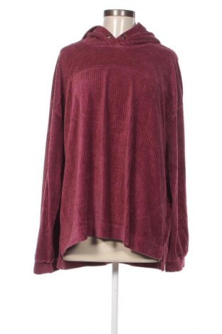 Damen Sweatshirt S.Oliver, Größe XL, Farbe Lila, Preis € 17,12