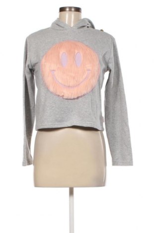 Damen Sweatshirt Undiz, Größe S, Farbe Grau, Preis 9,59 €