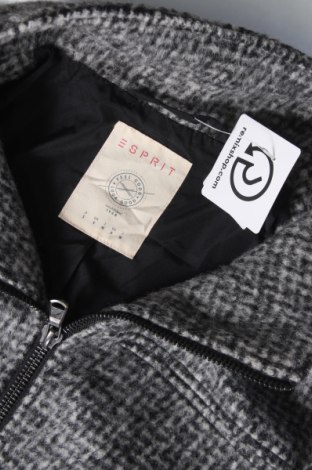 Dámsky kabát  Esprit, Veľkosť S, Farba Sivá, Cena  17,06 €