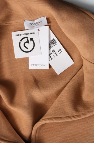 Γυναικείο παλτό Motivi, Μέγεθος XS, Χρώμα Καφέ, Τιμή 88,66 €