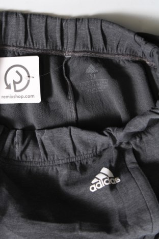 Damen Sporthose Adidas, Größe M, Farbe Grau, Preis 27,10 €