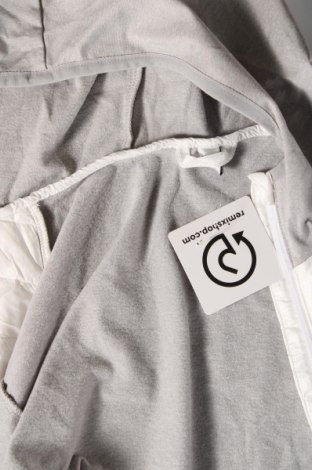Γυναικείο μπουφάν, Μέγεθος L, Χρώμα Πολύχρωμο, Τιμή 6,46 €