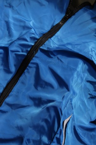 Dámská bunda , Velikost L, Barva Modrá, Cena  199,00 Kč