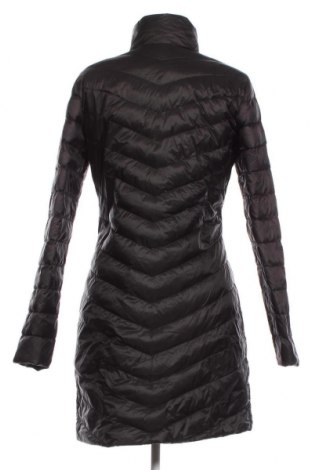 Γυναικείο μπουφάν Anna Field, Μέγεθος M, Χρώμα Μαύρο, Τιμή 24,57 €
