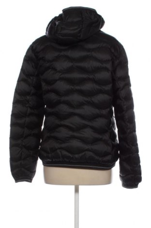 Γυναικείο μπουφάν Blauer, Μέγεθος L, Χρώμα Μαύρο, Τιμή 196,39 €
