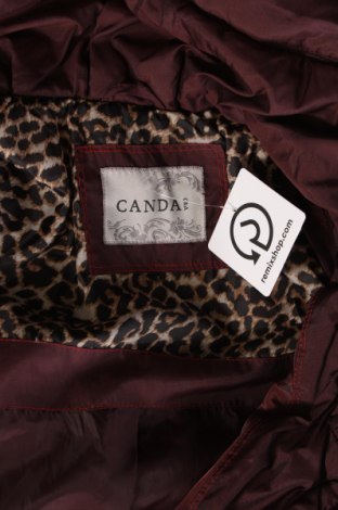 Γυναικείο μπουφάν Canda, Μέγεθος M, Χρώμα Καφέ, Τιμή 14,35 €