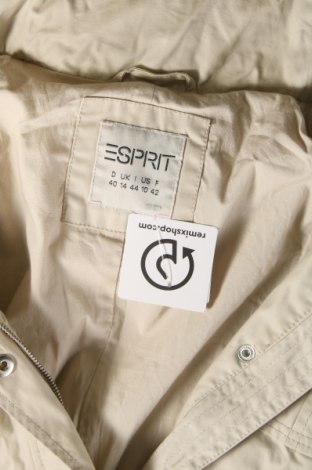 Dámska bunda  Esprit, Veľkosť L, Farba Béžová, Cena  7,71 €