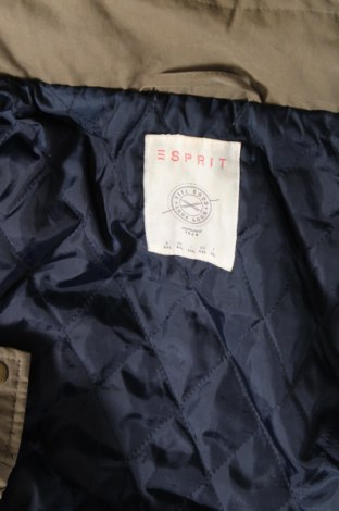 Дамско яке Esprit, Размер XXL, Цвят Зелен, Цена 41,25 лв.