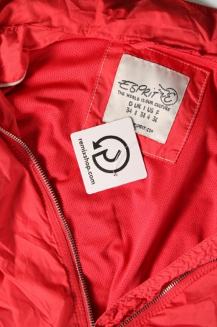 Γυναικείο μπουφάν Esprit, Μέγεθος S, Χρώμα Κόκκινο, Τιμή 8,41 €