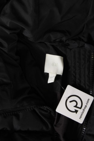 Γυναικείο μπουφάν H&M, Μέγεθος XL, Χρώμα Μαύρο, Τιμή 21,90 €