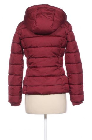 Dámska bunda  Terranova, Veľkosť S, Farba Červená, Cena  23,35 €
