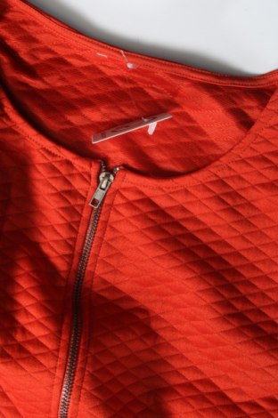 Γυναικείο μπουφάν Zeeman, Μέγεθος M, Χρώμα Κόκκινο, Τιμή 5,94 €