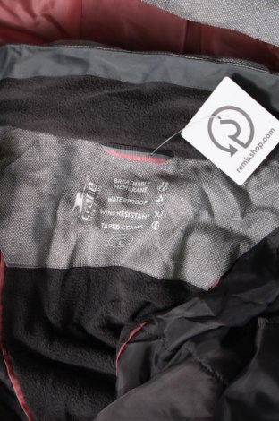 Damenjacke für Wintersports Crane, Größe L, Farbe Grau, Preis 28,13 €