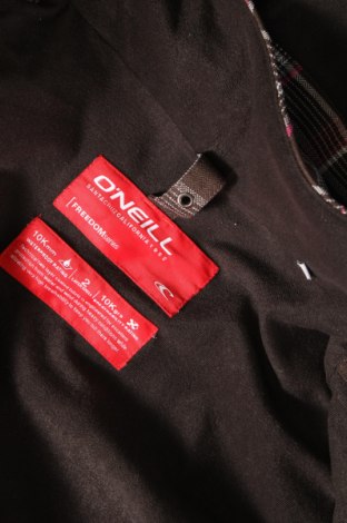 Damenjacke für Wintersports O'neill, Größe XL, Farbe Braun, Preis 53,55 €