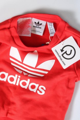 Παιδική μπλούζα Adidas Originals, Μέγεθος 9-12m/ 74-80 εκ., Χρώμα Γκρί, Τιμή 12,99 €