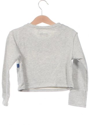 Kinder Shirt IKKS, Größe 3-4y/ 104-110 cm, Farbe Grau, Preis 16,50 €