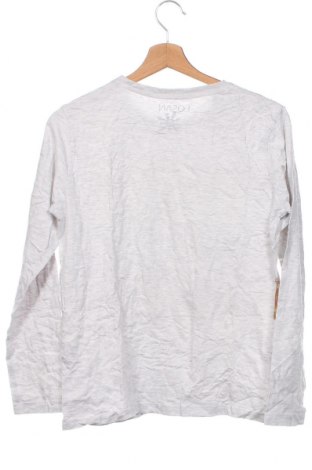 Kinder Shirt Losan, Größe 14-15y/ 168-170 cm, Farbe Grau, Preis € 3,83