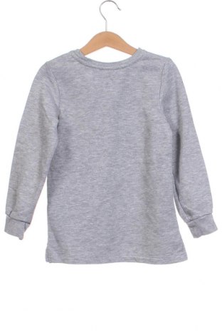 Kinder Shirt Lupilu, Größe 4-5y/ 110-116 cm, Farbe Grau, Preis € 3,13