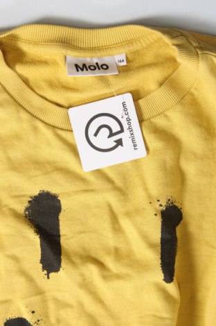 Kinder Shirt Molo, Größe 12-13y/ 158-164 cm, Farbe Gelb, Preis € 12,32