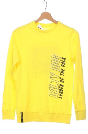 Παιδική μπλούζα Salty Dog, Μέγεθος 12-13y/ 158-164 εκ., Χρώμα Κίτρινο, Τιμή 7,49 €