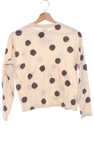 Детска блуза Zara, Размер 13-14y/ 164-168 см, Цвят Бежов, Цена 14,00 лв.