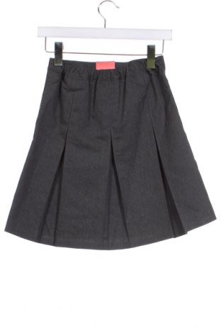 Kinderrock Marks & Spencer, Größe 9-10y/ 140-146 cm, Farbe Grau, Preis € 16,54