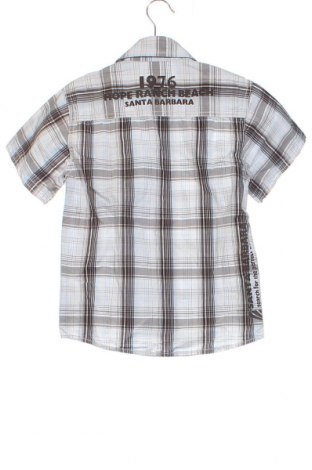 Детска риза Palomino, Размер 6-7y/ 122-128 см, Цвят Многоцветен, Цена 6,12 лв.