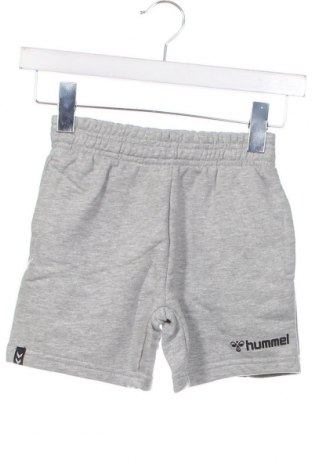 Kinder Shorts Hummel, Größe 5-6y/ 116-122 cm, Farbe Grau, Preis € 11,06