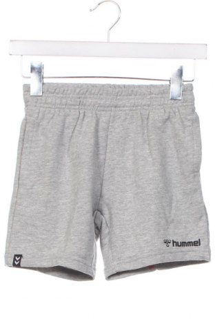 Detské krátke nohavice  Hummel, Veľkosť 7-8y/ 128-134 cm, Farba Sivá, Cena  11,06 €