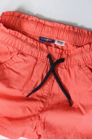 Kinder Shorts Lupilu, Größe 4-5y/ 110-116 cm, Farbe Orange, Preis € 3,15